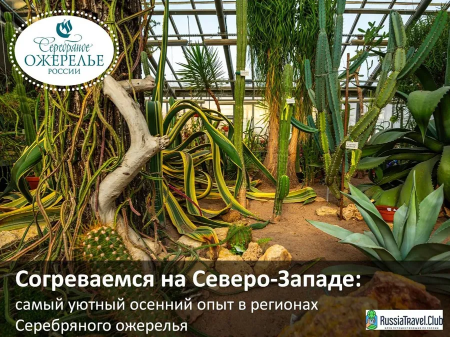 Туринфоцентры Северо-Запада представили осенние программы для туристов в Калининградской области