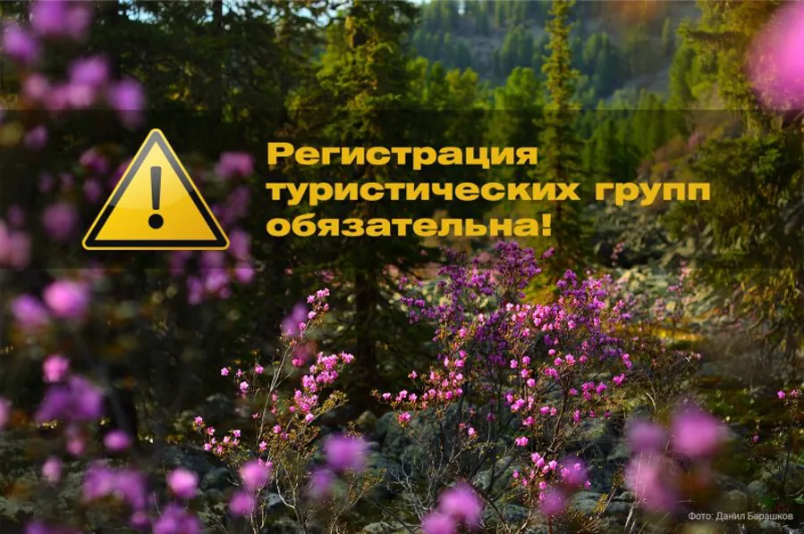 Туроператорам и гидам-экскурсоводам о регистрации туристических групп!