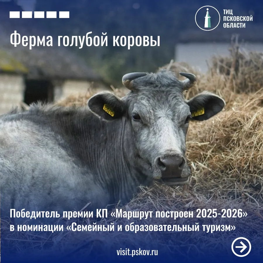 Псковская «Ферма голубой коровы» получила федеральную премию за семейный туризм