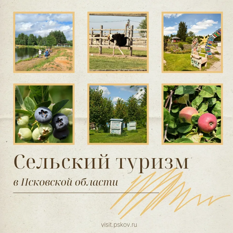 Рост интереса к сельскому туризму в Псковской области составил 40%