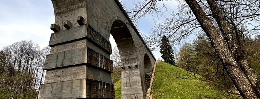 Туристический рельсобус в Краснолесье