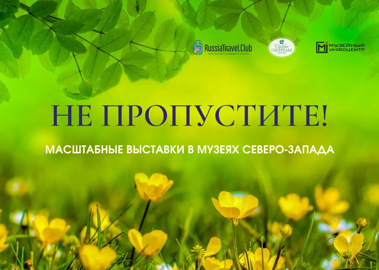 Новые июньские выставки в музеях Северо-Запада