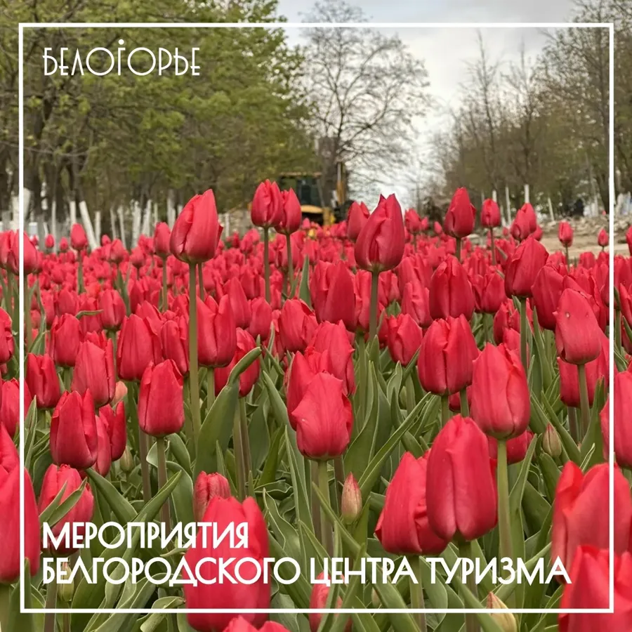 Белгородский центр туризма представил обширную программу на майские праздники