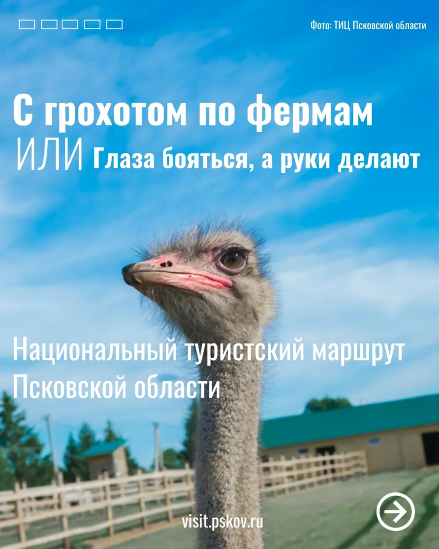 В Псковской области стартует национальный туристический маршрут «С грохотом по фермам»