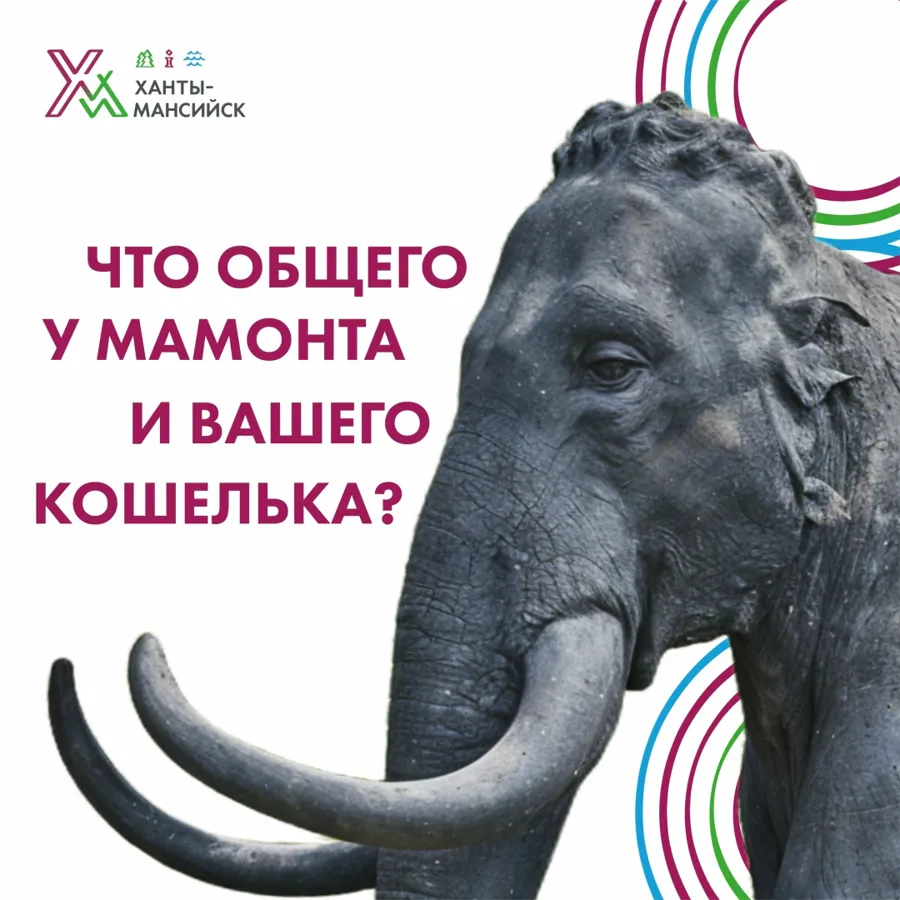 В Ханты-Мансийске расширяют программу лояльности для туристов