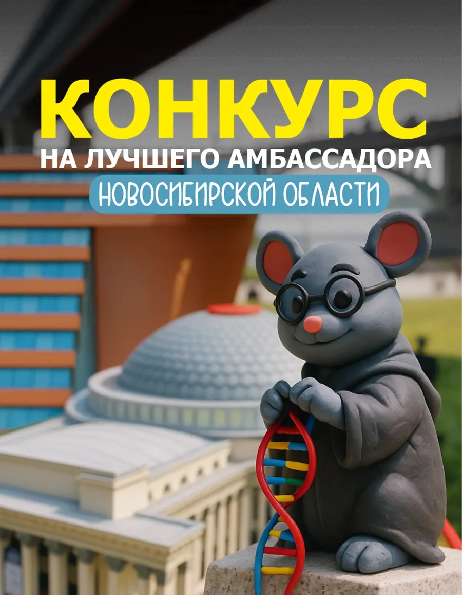 Конкурс для амбассадоров туризма стартовал в Новосибирской области