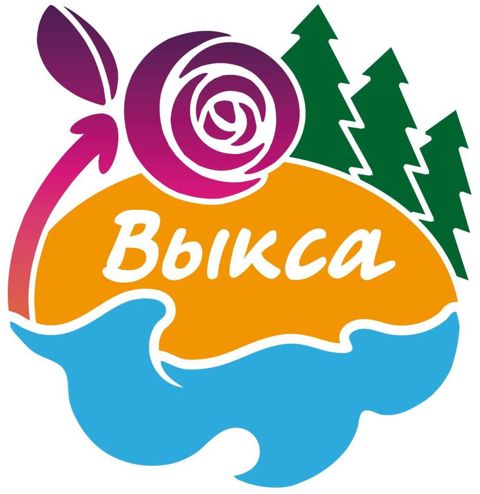 Логотип Туристско Информационный Центр г. Выкса