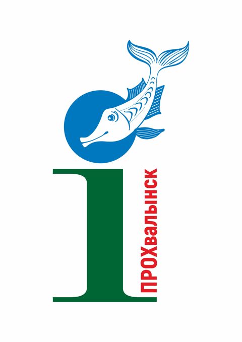 Логотип Туристический информационный центр г. Хвалынск